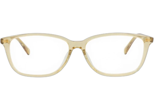 Gucci Square Frame Recycled Acetate Optical Frames GG0757OA-30008932-004 Brown Brown Transparent