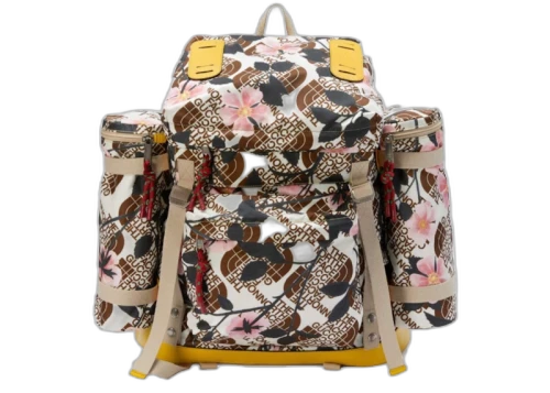 Gucci x The North Face Large Backpack Brown Multi