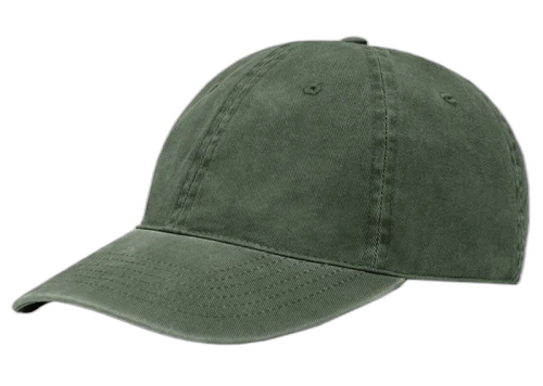 John Elliott Washed Dad Hat Olive