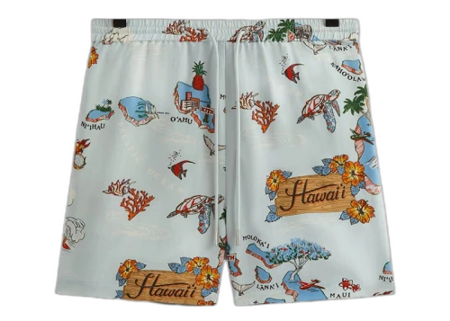 Kith Hawaii Active Short Oyster