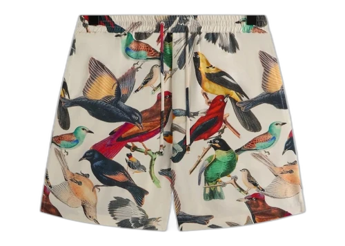 Kith Kin Tropical Bird Active Short Sandrift