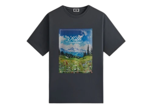 Kith Landscape Vintage Tee Torpedo