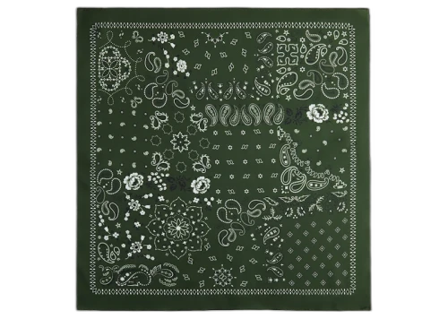 Kith Paisley Bandana Laurel