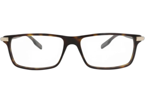 Montblanc Square Frame Acetate Optical Frames MB0217O-30012168-002 Havana Havana Transparent