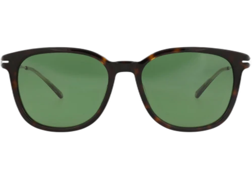 Montblanc Square Frame Recycled Acetate Sunglasses MB0304SA-30014590-002 Havana Silver Green