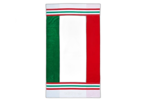 Palace adidas Towel Green