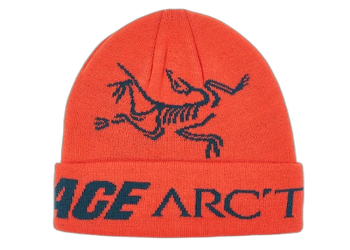Palace Arc'teryx Beanie Dynasty