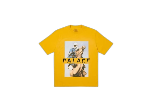 Palace Camel T-Shirt Camel