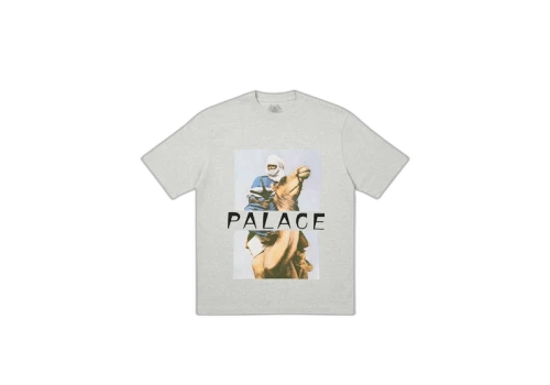 Palace Camel T-Shirt Grey Marl