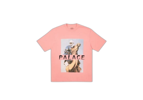 Palace Camel T-Shirt Pink