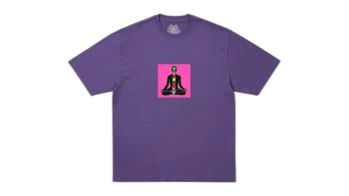 Palace Chakradical T-shirt Purp