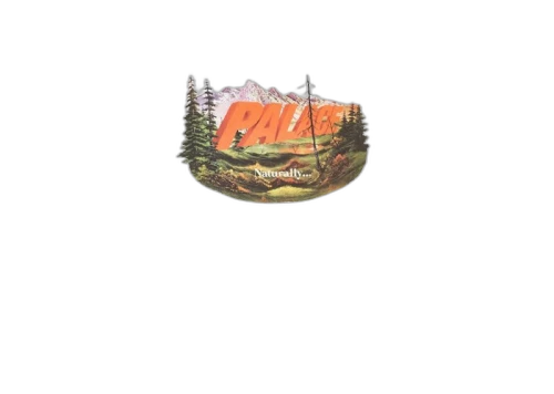 Palace Chapping Longsleeve White