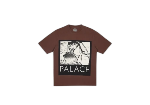 Palace Chip T-Shirt Brown
