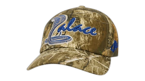 Palace Cobra 6-Panel Realtree Edge