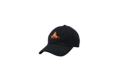 Palace Dino 6-Panel Black/Orange