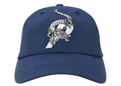 Palace Dragon Shell P 6-Panel Navy