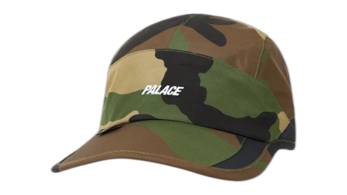 Palace GORE-TEX 3L Runner Camo