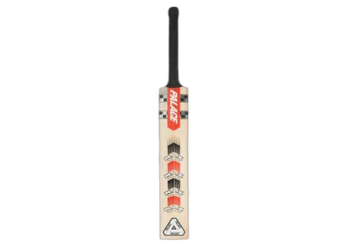 Palace Gray Nicolls Cricket Bat Wood
