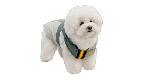 Palace K-Way Le Vrai 4.0 Horatio Dog Jacket Multicolor/Blue/Black
