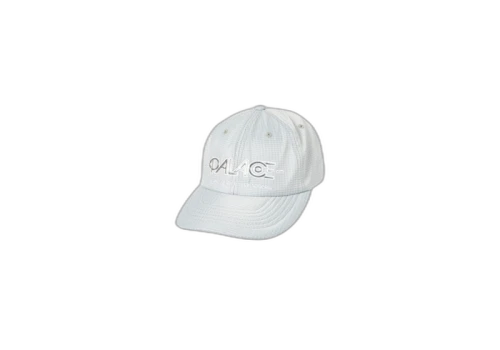Palace Obsission 6-Panel SIlver