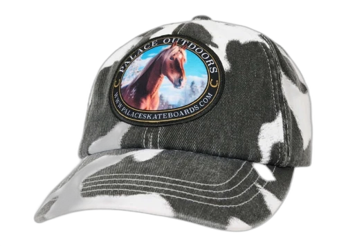 Palace Outdoors 6-Panel Print