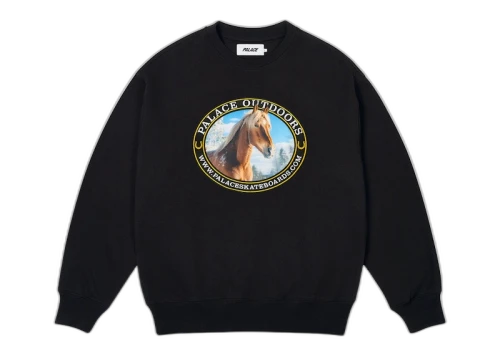 Palace Outdoors Crew Black