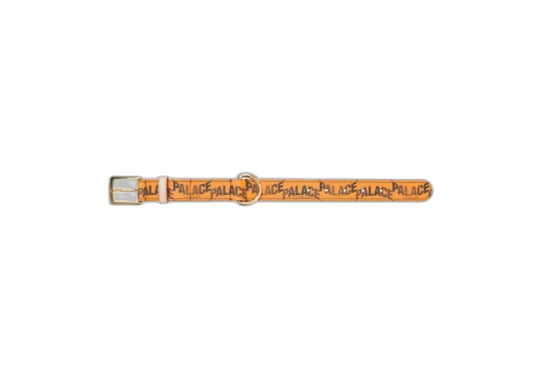 Palace P-Lux Dog Collar Orange