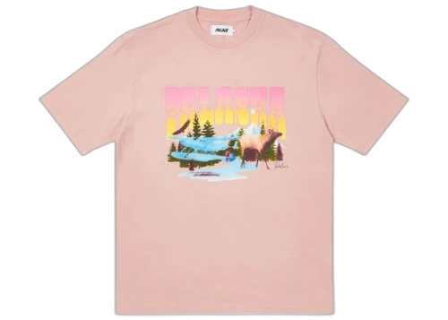 Palace Palaska Dye T-shirt Pink