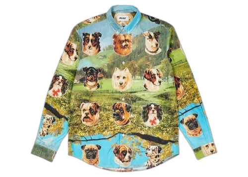Palace Payne Shirt Multi