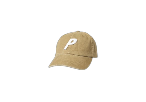 Palace Pigment 3D 6-Panel Gold