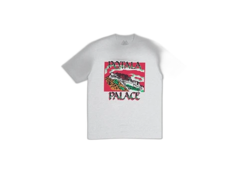 Palace Pot T-Shirt Grey