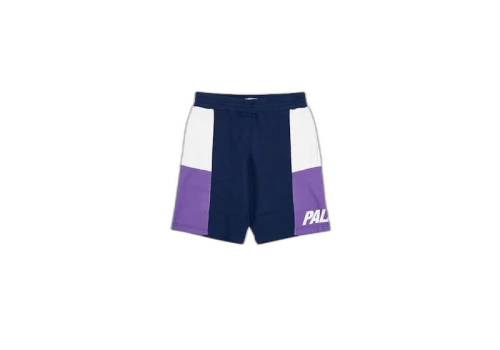 Palace S-Drop Shorts Purple