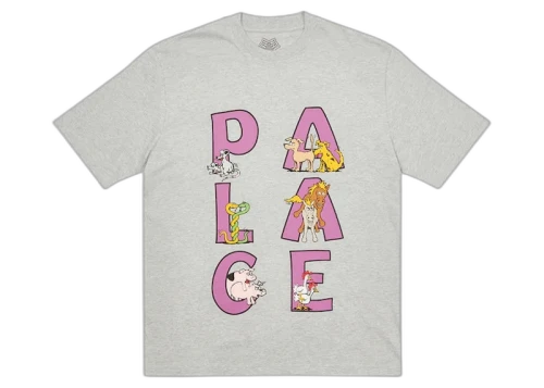 Palace Session T-shirt Grey Marl