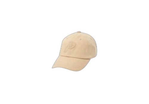 Palace Stretch Your P 6-Panel Stone