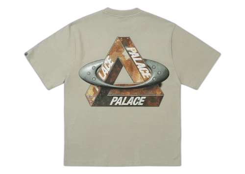 Palace x Oakley T-Shirt (FW24) Grey