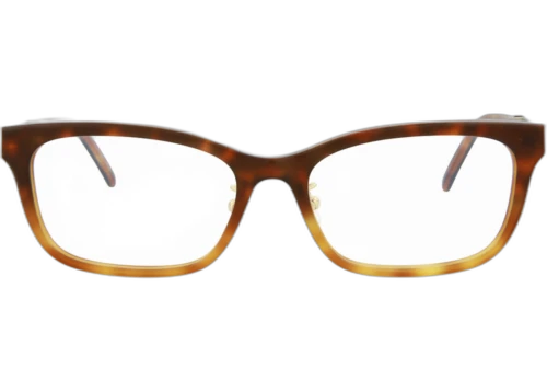 Saint Laurent Square Frame Acetate Optical Frames SLM84J-30010745-003 Havana Gold Transparent