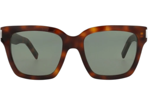 Saint Laurent Square Frame Acetate Sunglasses SL507-30013052-003 Havana Havana Green
