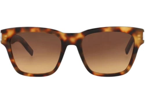Saint Laurent Square Frame Acetate Sunglasses SL560-30013784-003 Havana Havana Brown