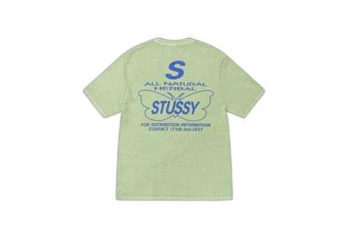 Stussy All Natural Pigment Dyed Tee Sage (FW22)