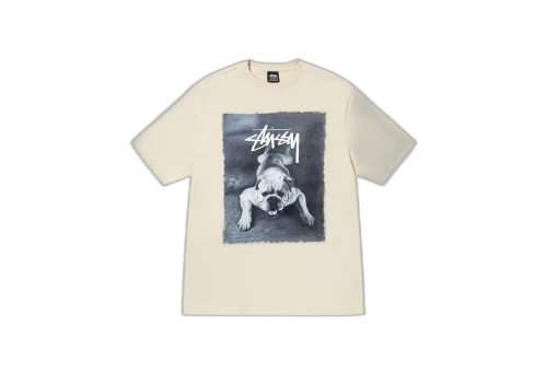 Stussy Bulldog Tee Putty (FW22)