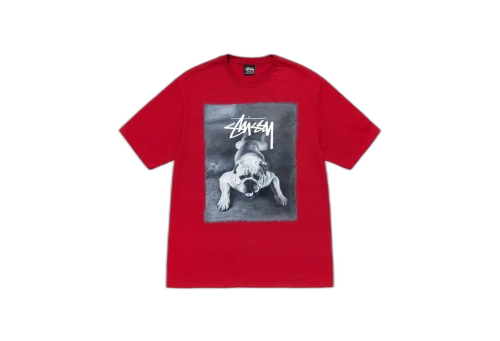 Stussy Bulldog Tee Red (FW22)