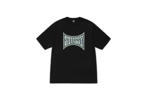 Stussy Champion Pigment Dyed Tee Black (SS23)