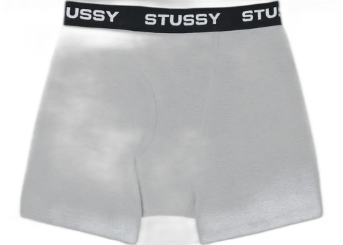 Stussy Cotton Boxers Heather Grey