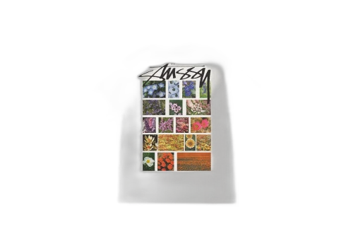 Stussy Flower Fired Pigment Dyed Tee Natural (FW22)