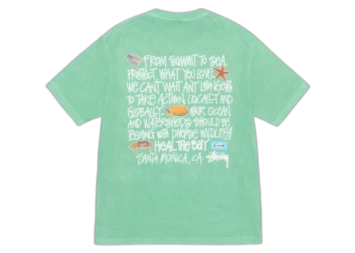 Stussy Heal The Bay Pigment Dyed Summit To Sea Tee Seafoam