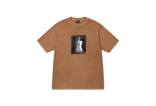 Stussy Le Violon Pigment Dyed Tee Brown (FW22)