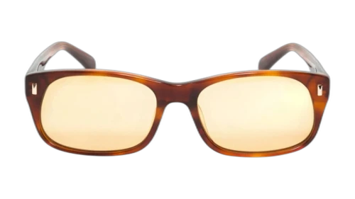 Stussy Michael Sunglasses Tortoise/Brown Lens