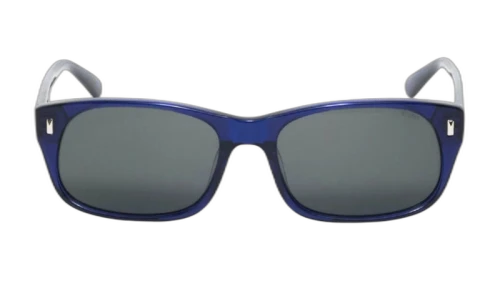 Stussy Michael Sunglasses Ultraviolet/Black Lens