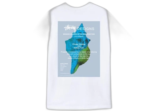 Stussy Modern Leaders Tee White