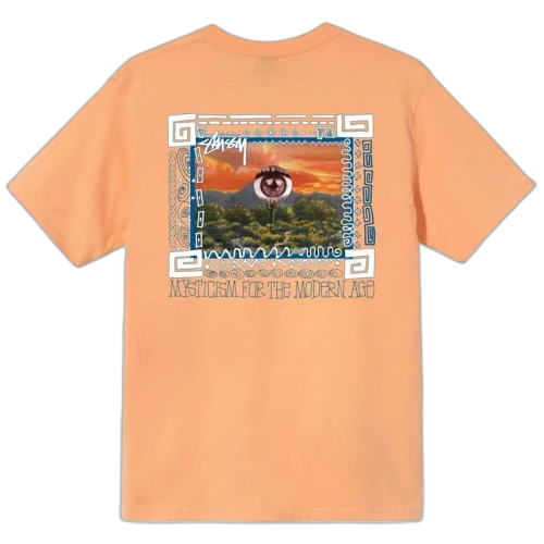 Stussy Mojave T-shirt Peah
